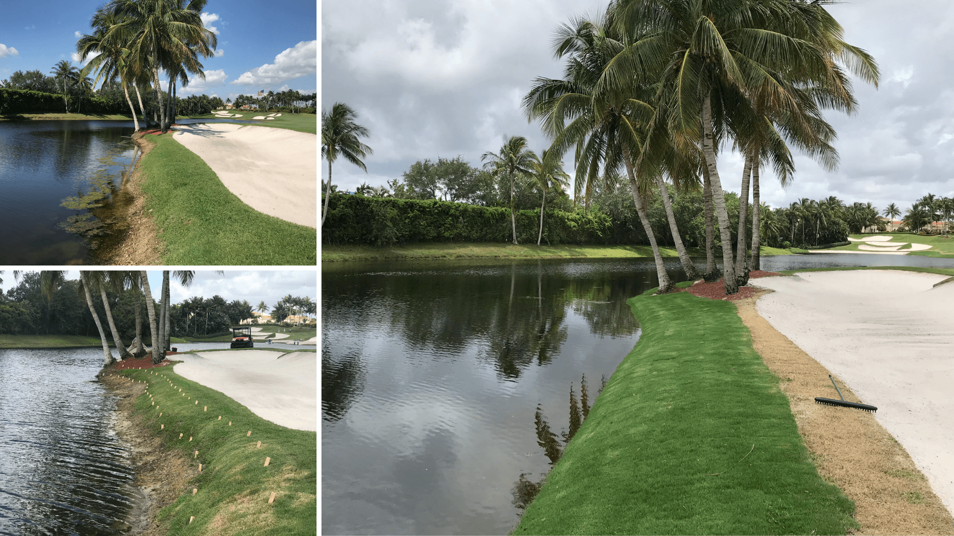 Golf course before after
