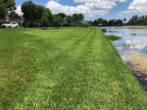 DredgeSOX solutions for lake bank erosion