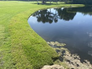 DredgeSOX solutions for lake bank erosion