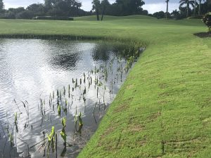 DredgeSOX solutions for lake bank erosion