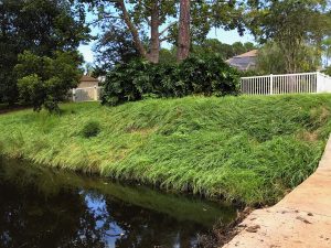 DredgeSOX solutions for lake bank erosion